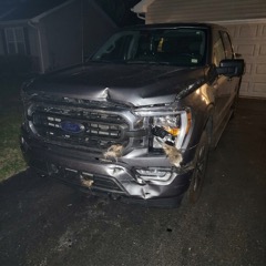 Hood and grille damage photo